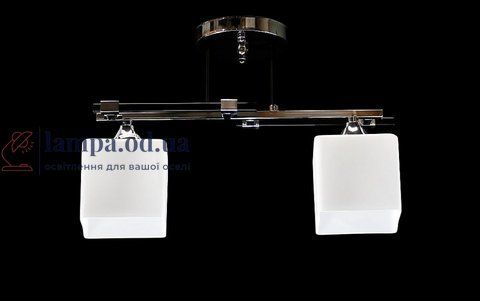 Люстра стельова Splendid Ray L9996B/2, 2xE27, 40Вт, 25см, хром, чорний, білий, сучасний стиль для дому 30423082 фото