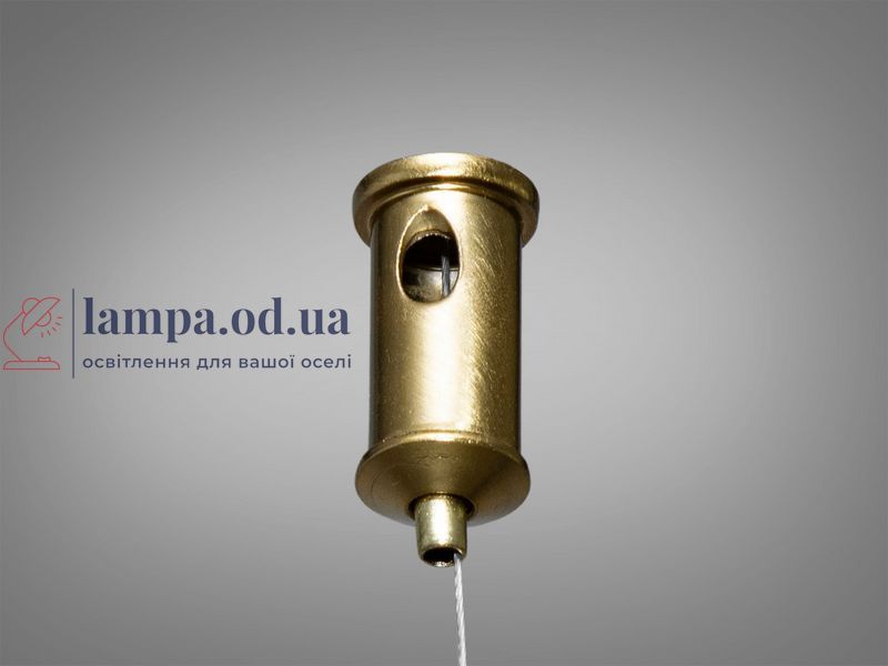 Стельова люстра LED Diasha 9610-1500GAB Мотузка 17W бронзова для коридору, вітальні, спальні, кухні, офісу 9610-1500GAB фото