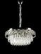 Splendid Ray LA7013/500/5+LED (CR), хромована кришталева люстра 50 см на 5 ламп з LED 30438707 фото 2