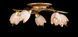 Люстра с плафонами Splendid Ray L88780/5, 5 ламп, бронза, розовый, золото, 52 см, современный стиль для дома