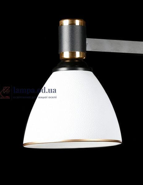 Люстра стельова Splendid Ray LGH50230A/3, 3 лампи E27, 50 см, чорний, білий, золото, сучасний стиль для дому 30407899 фото