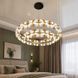 Дизайнерская подвесная LED люстра Diasha MD2511/800CG с двойным кольцом и декоративной подсветкой 80 см MD2511/800CG фото 1