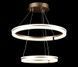 Подвесная светодиодная люстра Splendid Ray LF9841/2 LED MK CF с кольцевым дизайном и диммером 30417243 фото 5