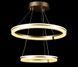 Подвесная светодиодная люстра Splendid Ray LF9841/2 LED MK CF с кольцевым дизайном и диммером 30417243 фото 4