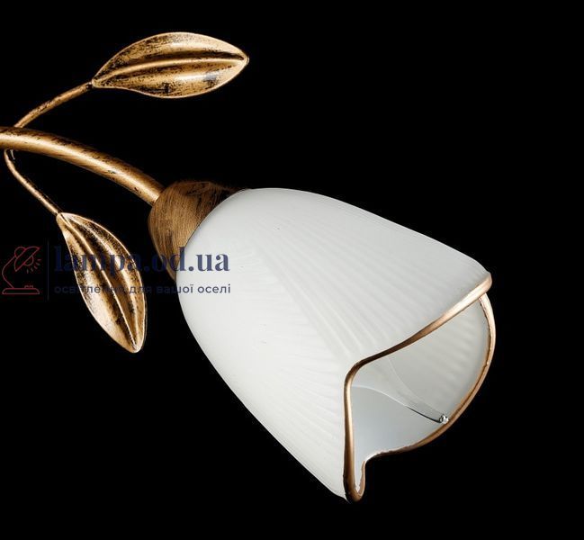 Потолочная люстра Splendid Ray L88497/6, 6 ламп, E14, бронза и белый, современный стиль 30210116 фото
