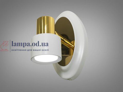 Подсветка для зеркал Diasha 5878/1 3W LED, 3W, 3200K-6000K, металлическая, поворотная, IP20, современный стиль 5878/1 фото