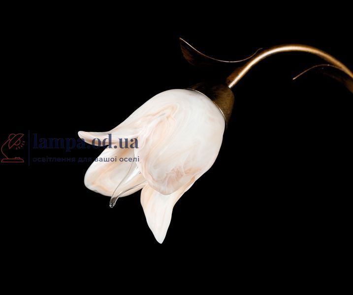 Люстра Splendid Ray L10294/2, 2 лампы E14, бронзовая, высота 40 см, диаметр 60 см, современный стиль для дома 30241680 фото