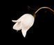 Люстра Splendid Ray L10294/2, 2 лампы E14, бронзовая, высота 40 см, диаметр 60 см, современный стиль для дома 30241680 фото 2
