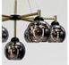 Подвесная люстра Artlight 7020/7 с семью графитовыми стеклянными плафонами E27, чёрный и латунь, от 17-26 м&sup2; 7020/7 фото 4