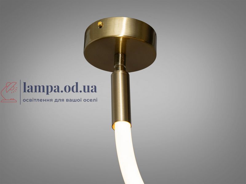 Потолочная люстра LED Diasha SY9610-2000GAB Шланг, 22W, бронзовая, современный стиль для коридора, гостиной, спальни, кафе SY9610-2000GAB фото