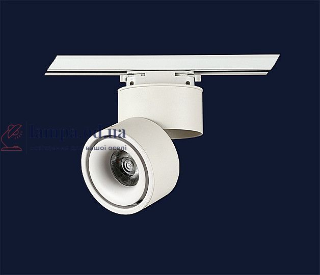 Трековый светильник LED Levistella 901COB-2912 WH 3000K, 10W, 3000K, белый металл, современный стиль для дома LVS1539 фото