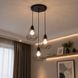 Стильная подвесная люстра Levistella 7522019F-3 BK+BK в стиле loft с металлическими плафонами LVS4691 фото 1