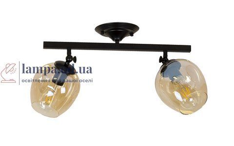 Потолочна люстра Levistella 756XPR0231F-2 BK+BR, E27, чорний і коричневий, сучасний стиль LVS4191 фото