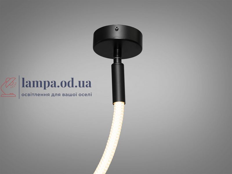 Стельова люстра LED Diasha 9610-1500BK Мотузка, 17W, 935 лм, чорний, для низьких стель, сучасний стиль для коридору, вітальні, 9610-1500BK фото