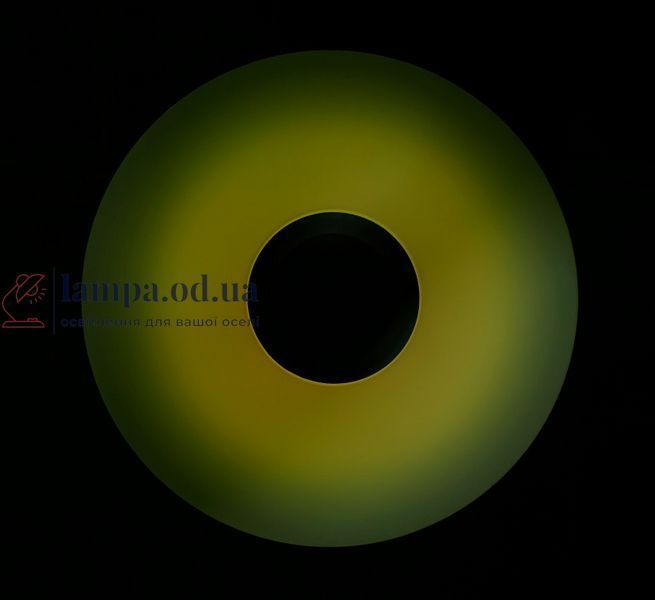 Люстра стельова LED Splendid Ray LY8339/36W*2, 72W, біла, сучасний стиль з пультом і Bluetooth 30382398 фото
