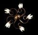 Люстра с плафонами LED Splendid Ray L90707F/5, 5 ламп, бронза, белый, для гостиной и спальни 30211247 фото 2