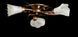 Потолочная люстра Splendid Ray L10008/3, 3 лампы, бронза, белый, золото, металл, стекло, современный стиль 30211575 фото