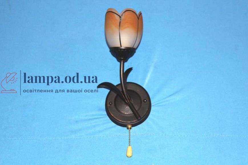 Бра настінне Splendid Ray B81284/1, E14, 40Вт, чорний/коричневий, сучасний стиль для дому 30188967 фото