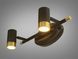 Подсветка для зеркал Diasha 5883/2, 6W, LED, металл, поворотная, 3200K/4100K/6000K, современный стиль 5883/2 фото 3