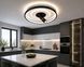 Современная LED-люстра Diasha 5531WH+BK dimmer белый+черный, 64Вт, с пультом и диммером, 47 см 5531WH+BK dimmer фото 2
