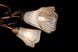 Потолочная люстра Splendid Ray L10008/5, 5 ламп, бронза/белый/золото, современный стиль, высота 11 см 30212057 фото 2