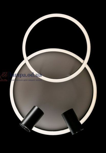 Люстра стельова LED Splendid Ray L2464/550/2+2, 4 лампи, білий/чорний, димер, сучасний стиль 30428629 фото