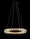 Підвісна хромована світлодіодна люстра Splendid Ray L33152/500/1 LED (CR) з кришталевим кільцем 50 см 30437867 фото 4